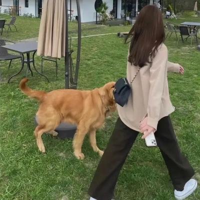 超难搞叔叔