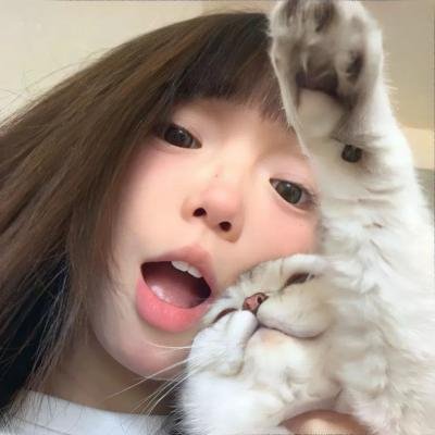 汪喵物语
